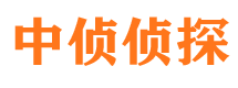 五河侦探公司